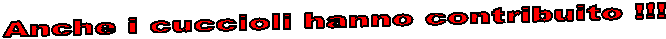 Anche i cuccioli hanno contribuito !!!